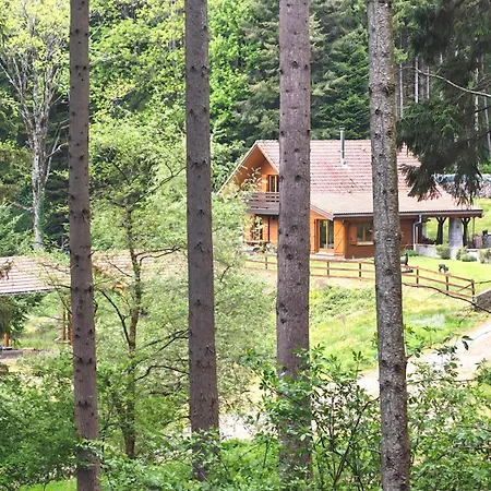 Le Domaine Du Cerf Isolé Pleine Nature 7 à 10 Pers * Lautenbach