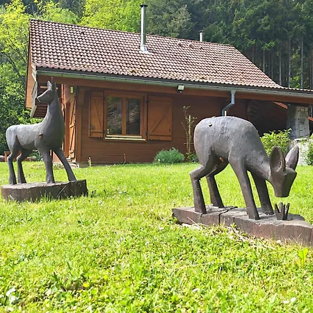 Le Domaine Du Cerf Isolé Pleine Nature 7 à 10 Pers Lautenbach