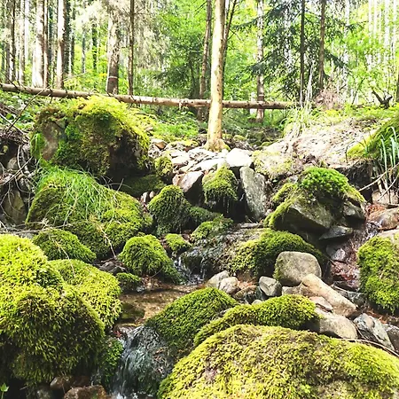Le Domaine Du Cerf Isolé Pleine Nature 7 à 10 Pers Chalet Lautenbach