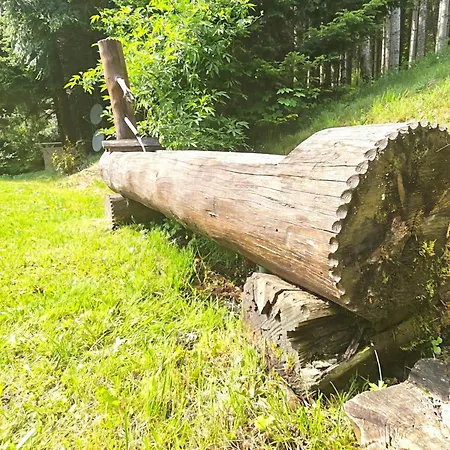 Le Domaine Du Cerf Isolé Pleine Nature 7 à 10 Pers Chalet Lautenbach