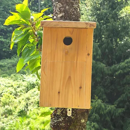 Le Domaine Du Cerf Isolé Pleine Nature 7 à 10 Pers Chalet Lautenbach